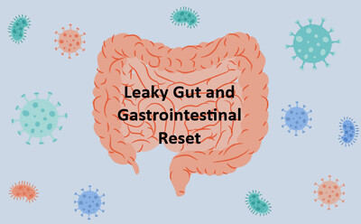 Link to: https://us.fullscript.com/plans/spinepro-leaky-gut-and-digestive-repair