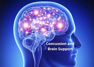 Link to: https://us.fullscript.com/plans/spinepro-concussion-and-brain-support
