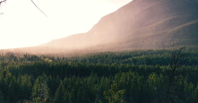 Why Addressing Neuromusculoskeletal Pain Early Can Save You Time, Money, and Long-Term Discomfort image